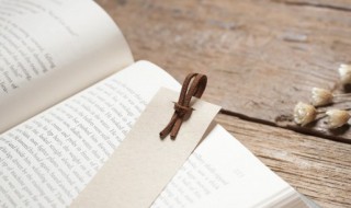 螵蛸怎么读 海螵蛸怎么读