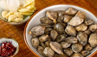 花蛤怎么读 花蛤还是花蛤怎么读