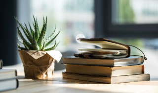 僚怎么读（僚怎么读组词）