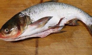 家常炖花鲢鱼怎么做好吃 家常炖花鲢鱼怎么做好吃视频