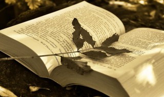 2021最旺财旺运的微信网名女 2021最旺财旺运的微信网名女英文