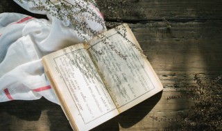 龈怎么读（牙龈怎么读）