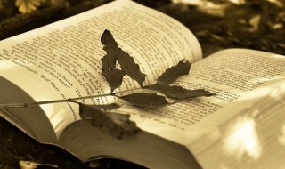 2021新生女婴儿取名（2021新生女婴儿取名带水）