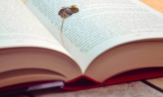 女士微信名字大全 女士微信名字大全可爱