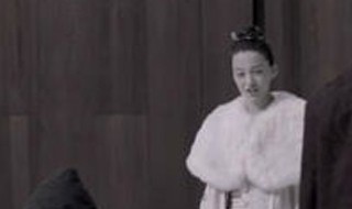 范闲母亲是穿越的吗（范闲的孩子是穿越的么）