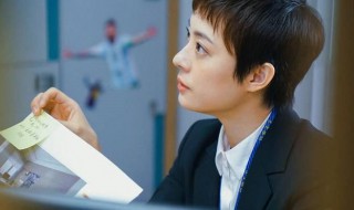 安家房似锦为什么没钱 安家里的房似锦最后怎么样了