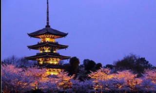 东湖樱园里的塔叫什么（东湖樱花园的塔）