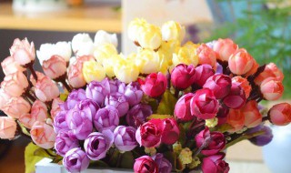 家里不能摆假花是真的吗（家里能摆假花家里摆假花好吗）