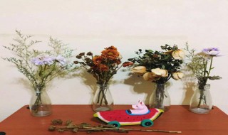 家里为什么不能摆干花（家里为什么不能摆干花盆）