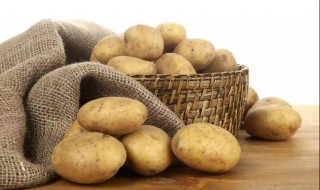 土豆怎么种植切多大（土豆栽怎么切）