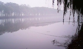 有雾的清晨好钓鱼吗 有雾的清晨好钓鱼吗视频