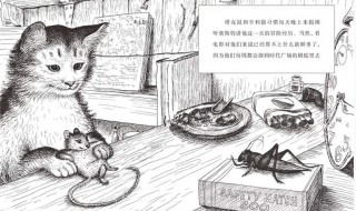 亨利猫与老鼠塔克是什么关系（亨利猫和塔克老鼠是什么关系）