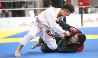 综合格斗规则（综合格斗规则不能打的部位）