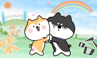 甜奶cp为啥叫甜奶（为什么叫甜奶cp）