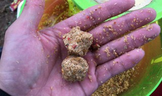 搓饵一般调几钓几 搓饵应该调几钓几