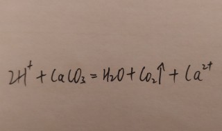 碳酸钙与盐酸反应的实质(碳酸钙与盐酸反应的实质和方程式)