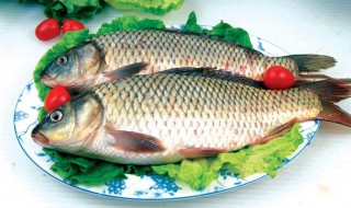 惊蛰前能夜钓鲤鱼吗 惊蛰前能夜钓鲤鱼吗为什么