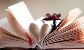 傅雷家书腰封推荐词（傅雷家书腰封推荐词200）