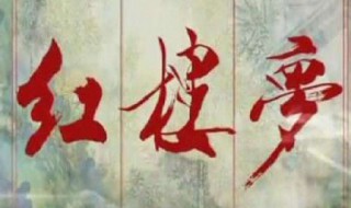 红楼梦一书围绕什么事件展开的（红楼梦每一回的主要人物及主要事件）