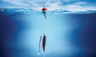 为什么大风天钓不到鱼 大风天为什么不好钓鱼