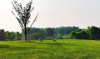 被称为塞外苏杭是哪里（被称为是塞外苏杭的是哪里）