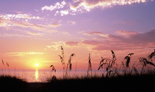 穿越地平线好词好句（穿越地平线好词好句读后感）