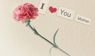 写妈妈外貌特点性格特点（写妈妈外貌特点性格特点300字）