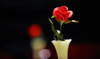 鲜花节是哪个民族的（鲜花节是哪个民族的?）