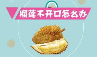 冬天没有开口的榴莲催熟方法(冬天没有开口的榴莲催熟方法视频)