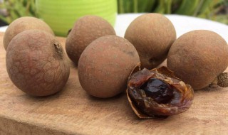 桂园干的功效与作用 桂园干的功效与作用?