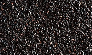 吃什么食材可以生发（哪些食材可以生发）