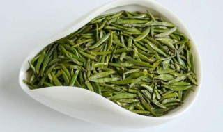 竹叶青的功效与作用是什么 竹叶青有什么功效