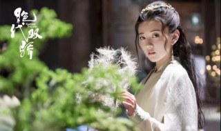 绝代双骄藏宝图藏的是什么（绝代双骄假藏宝图是谁弄的）