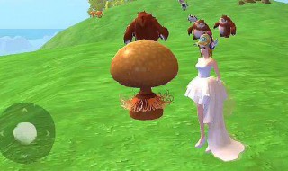 松露多久刷新一次（松露在哪获得?）