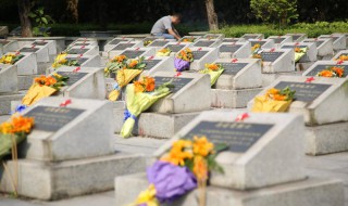 清明扫墓怎么扫 清明扫墓怎么扫墓