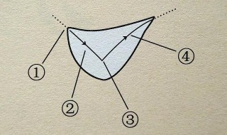 点的写法及运笔技巧 点的书写技巧