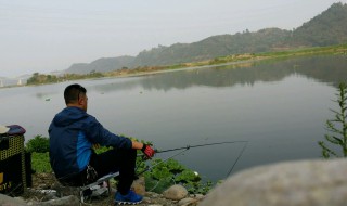 乱石底怎么钓鱼 野钓乱石底