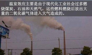 温室效应的成因是什么 温室效应的成因主要是什么
