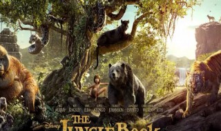 森林探险电影有哪些好看(森林探险电影有哪些好看的电影)