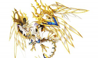 奥奇传说王者圣龙打法（奥奇传说传说王者圣龙打法）