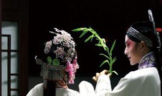 牡丹亭简介(京剧牡丹亭简介)