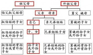 直系亲属包括哪些人 什么是直系亲属 直系亲属包括哪些人