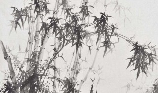 咬定青山不放松写的植物是（咬定青山不放松写的植物是竹子）