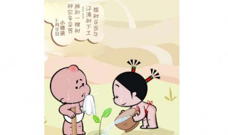 怎样使用手机主题壁纸不收钱 怎样使用手机主题壁纸不收钱软件