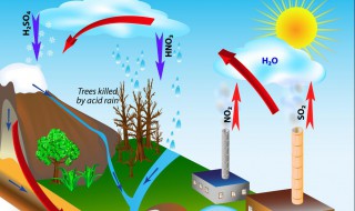 酸雨产生的原因 导致酸雨产生的原因