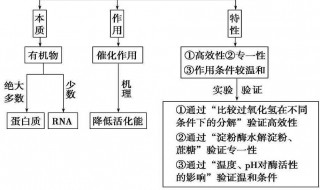 化学反应的基本类型有哪些 化学反应的基本类型有哪些方法