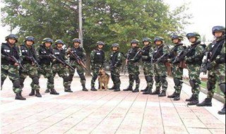 部队军靴鞋带系法 部队军靴鞋带系法图片