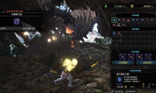 怪物猎人世界攻击珠怎么获得（怪物猎人世界攻击珠怎么获得的）