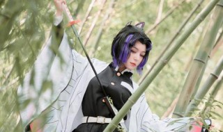 蝴蝶忍登场集数（蝴蝶忍名场面在第几集）