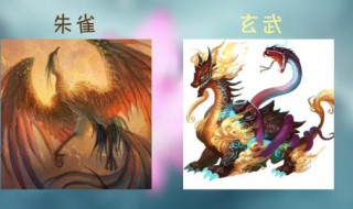 神武珍兽哪个最实用 神武珍兽哪个最实用好